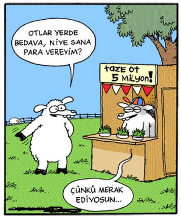 Felsefi karikatürler...