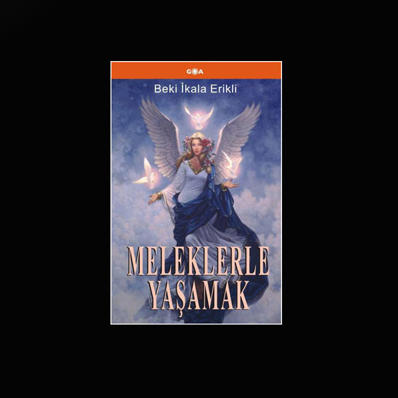 2011in en çok satan kitapları