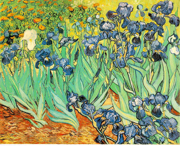 Van Gogh sever misiniz