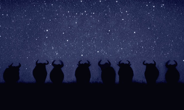 Gece avlanan aslanlar...