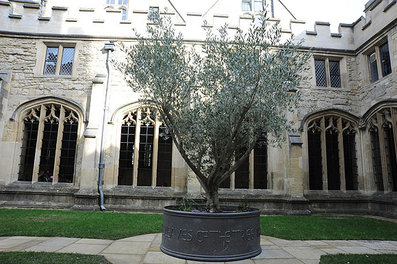 Harry Potter ve Alicein şehri: Oxford