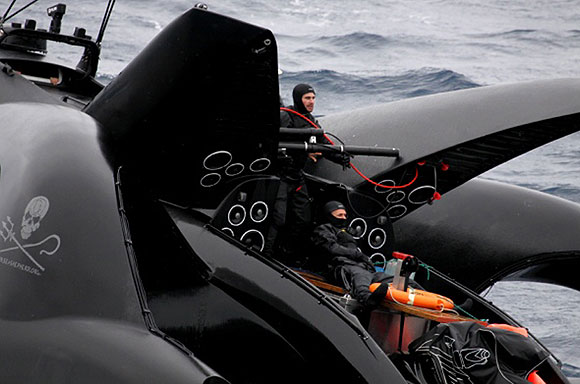 Balina avcıları, Sea Sheperd teknesine çarptı