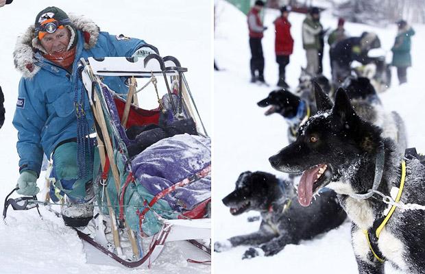 Kızak çeken köpek yarışları yapıldı