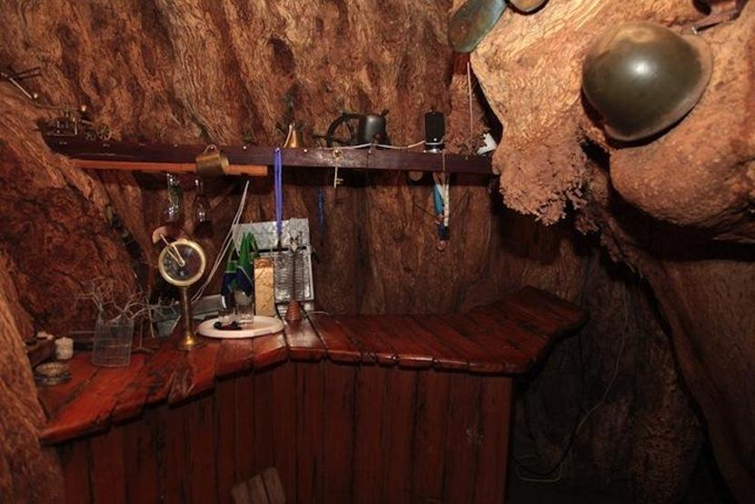 6000 yaşındaki ağaç bar oldu