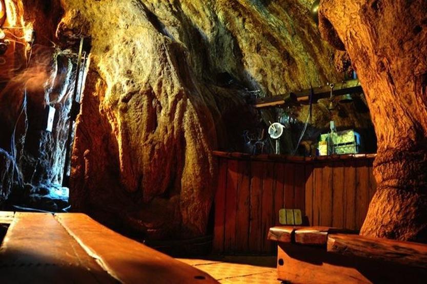6000 yaşındaki ağaç bar oldu
