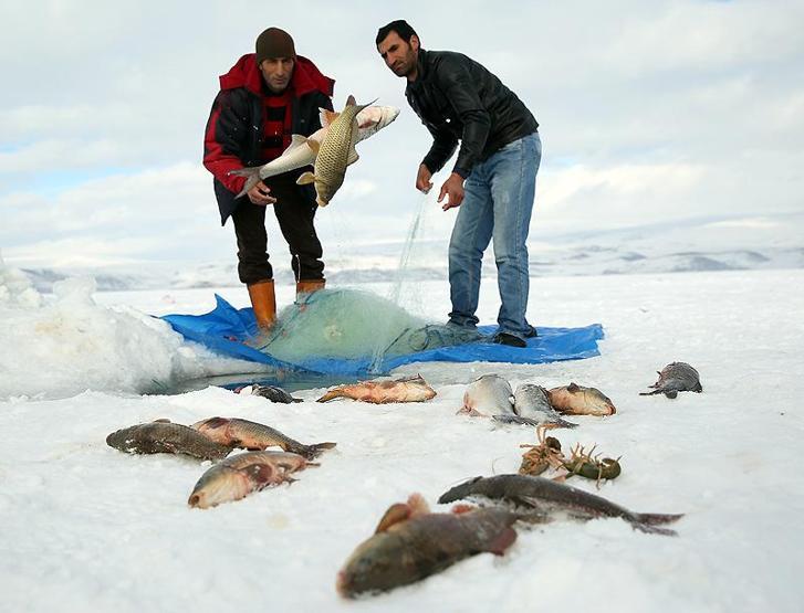 Çıldır Gölünde Eskimo usulü balık avı