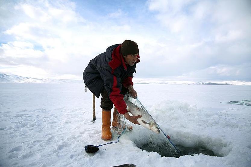 Çıldır Gölünde Eskimo usulü balık avı