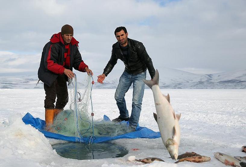 Çıldır Gölünde Eskimo usulü balık avı