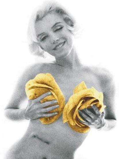 Marilyn Monroe’nun kasedi mi çıkacak