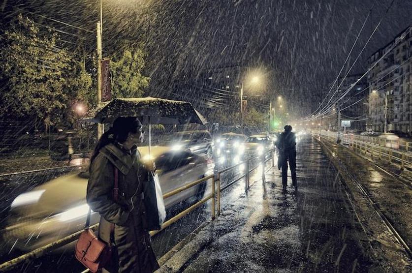 Sony Dünya Fotoğraf Ödülleri 2014ün kazanan isimleri açıklandı