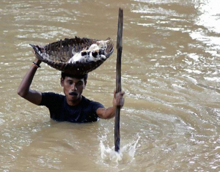 Son 10 yıla damgasını vuran fotoğraflar
