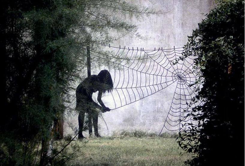 Sokakların efendisi: Pejac