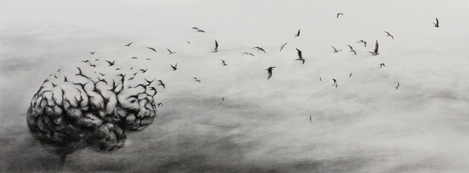 Sokakların efendisi: Pejac