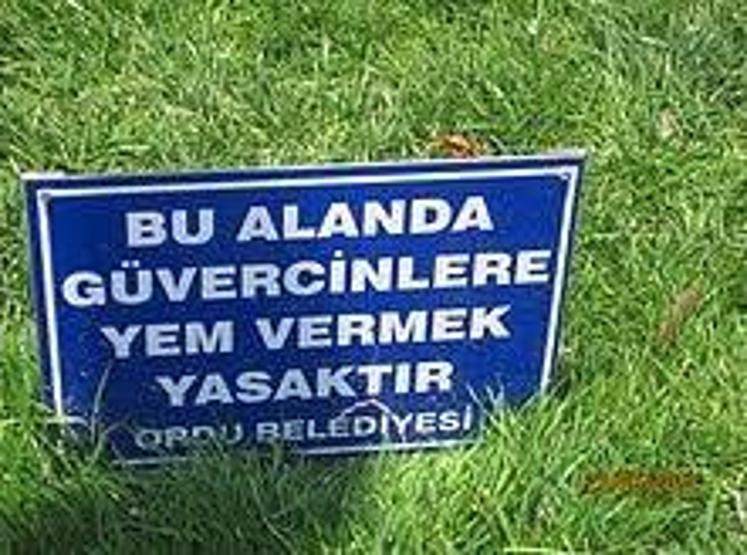 İbretlik yasak levhaları