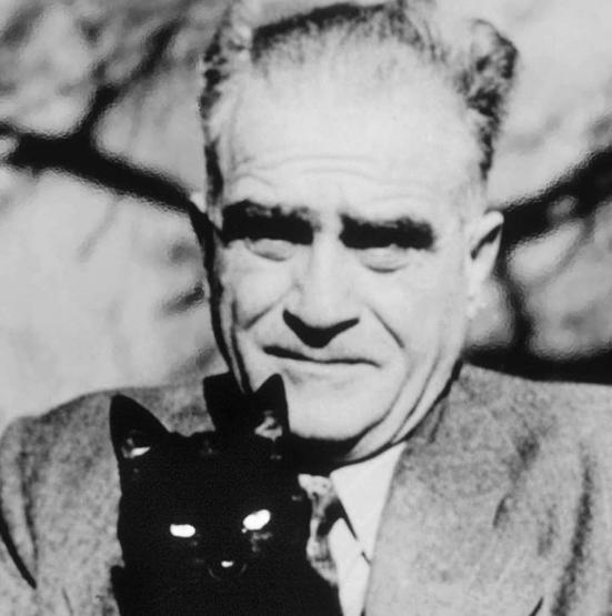 Fotoğraflarla ünlü yazarlar ve kedileri