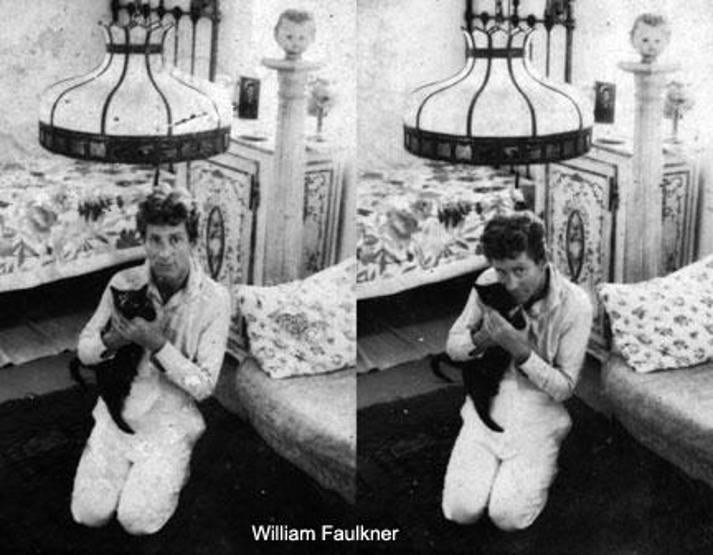 Fotoğraflarla ünlü yazarlar ve kedileri