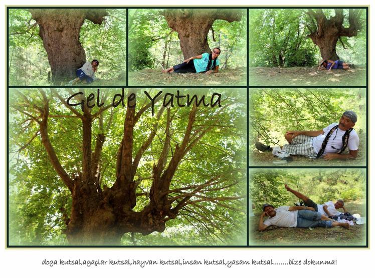 Gel de yatma...