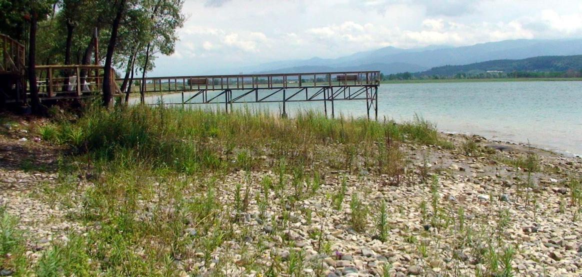 Sapancada kuraklığın önlenemez yükselişi