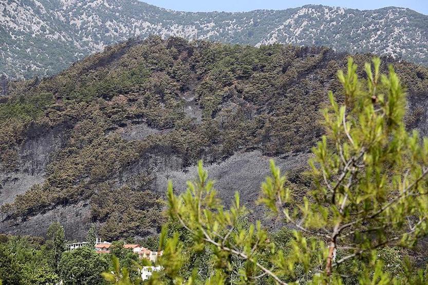 İşte Antalya Ardasandaki felaketten geriye kalanlar...