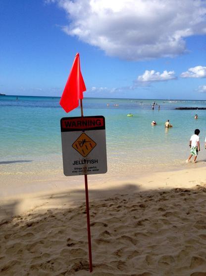 Yeryüzündeki Cennet; Hawaii