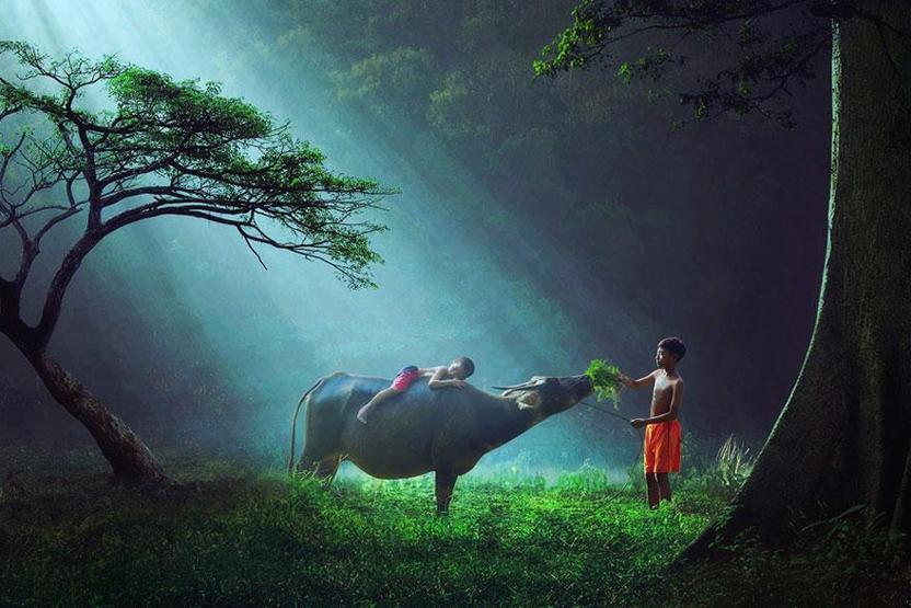 32 sihirli fotoğraf