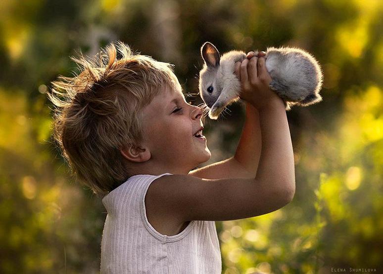 32 sihirli fotoğraf