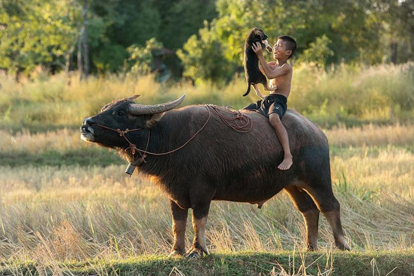 32 sihirli fotoğraf