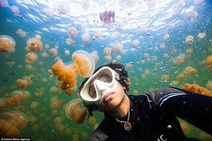 En çılgın selfieler