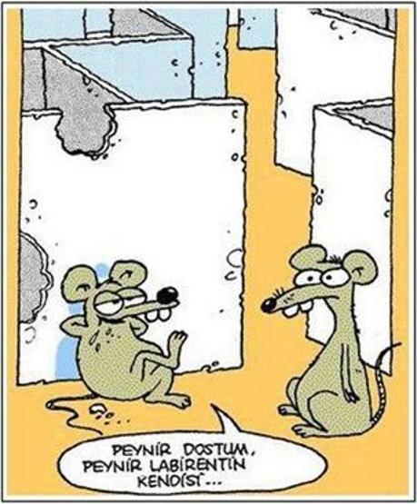 Karikatürcülerin gözünden felsefe