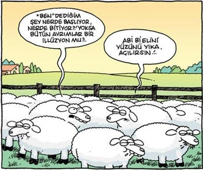 Karikatürcülerin gözünden felsefe