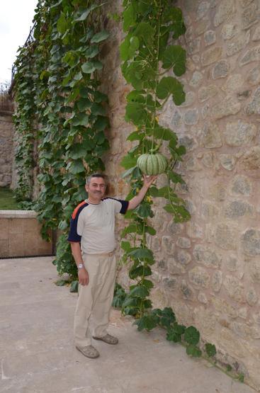Fotoğraflarla yurt turu