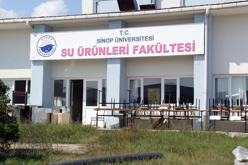 Yurt turu