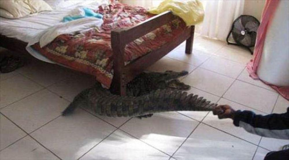 Bir kaç saniye önce bu fotoğraf çekilmişti..