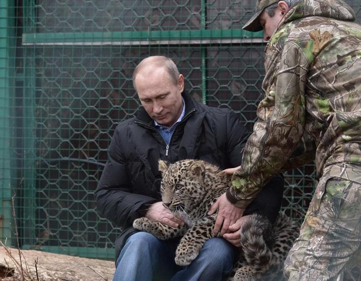 Putin nereye bakıyor