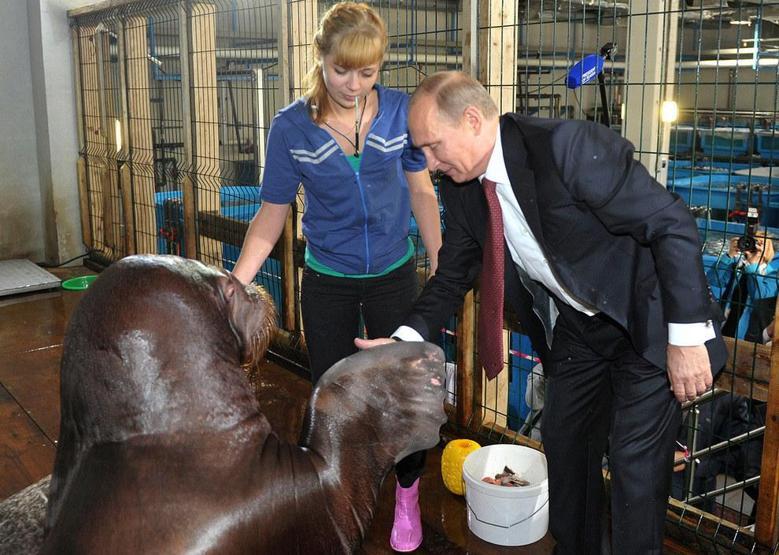 Putin nereye bakıyor