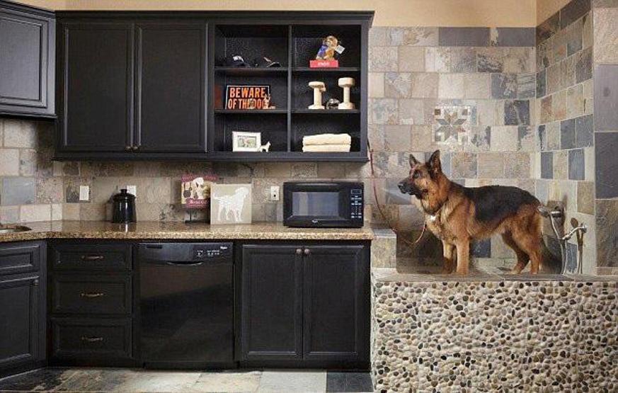 Sosyetede yeni trend: Köpeklerine özel suit