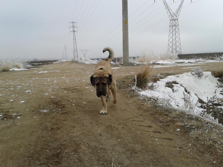 Yurt turu