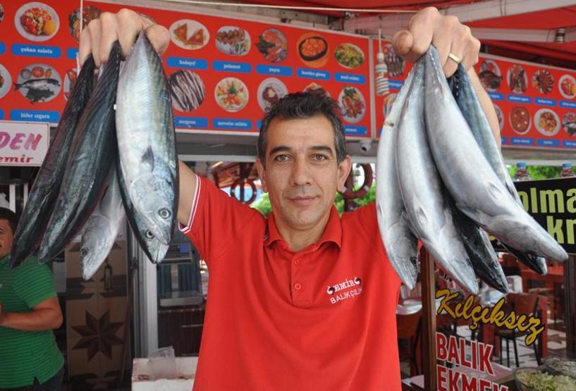 Palamut fiyatları borsayı aratmıyor