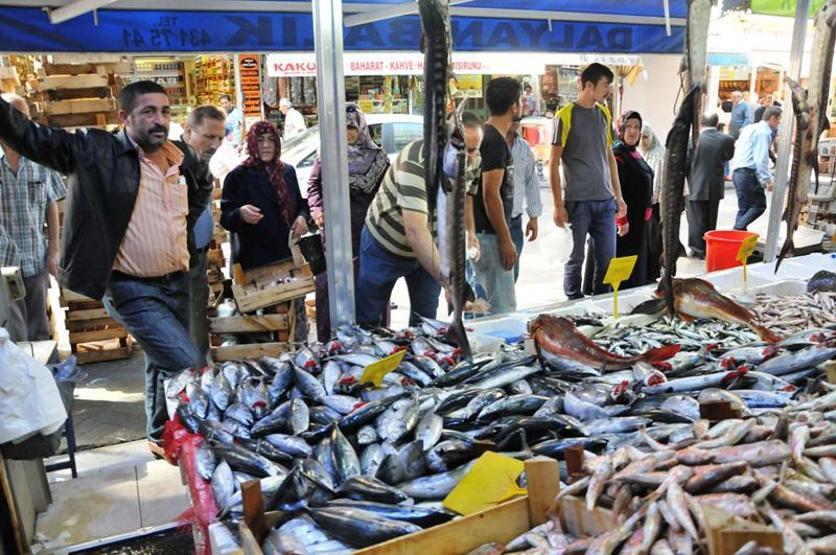 Palamut fiyatları borsayı aratmıyor
