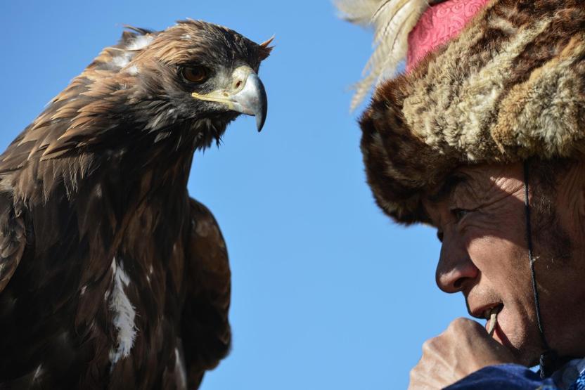 Kartal Festivalinde renkli görüntüler