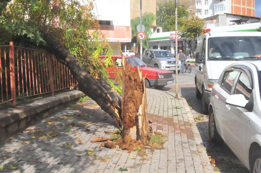 İstanbulda fırtına