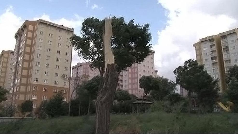 İstanbulda fırtına