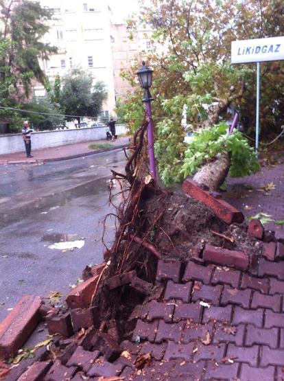 Adanada 10 dakikalık fırtına çatıları uçurdu, ağaçları söktü