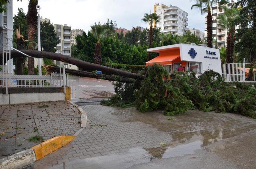 Adanada 10 dakikalık fırtına çatıları uçurdu, ağaçları söktü