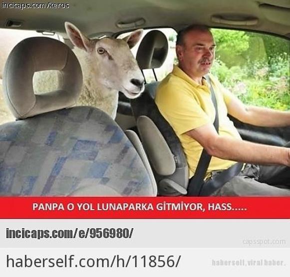 Kurban öncesi güldüren capsler