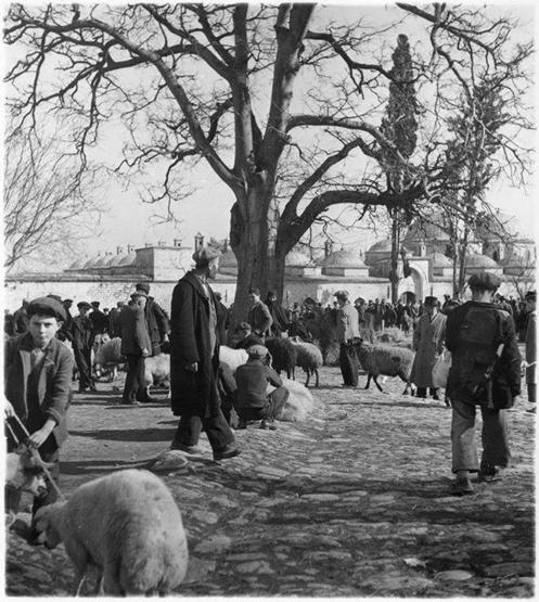 Eski Türkiye fotoğrafları....