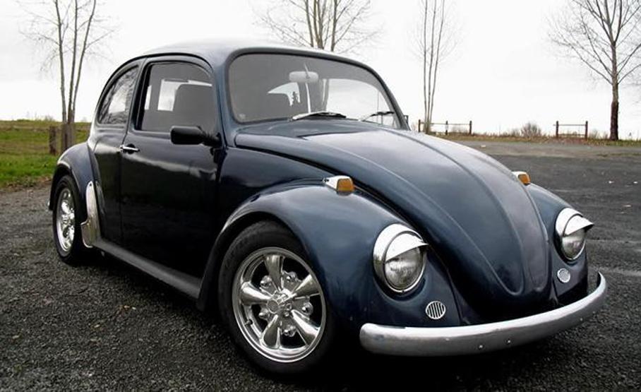 Meşe Ağacından Beetle Üretti