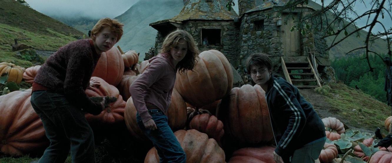 Harry Potterda gizli seks sahnesi iddiası