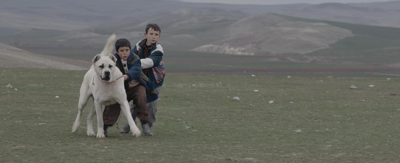 Vizyonda bu hafta: 31 Ekim 2014