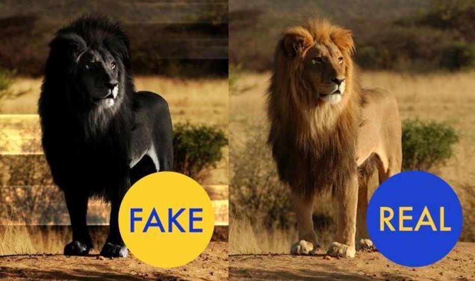 10 hileli fotoğraf